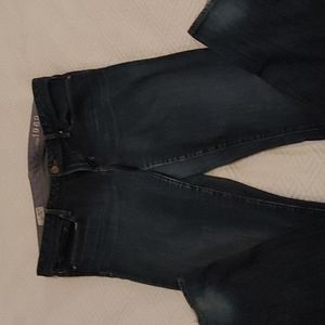 The Gap 1969 Real Straight Jeans